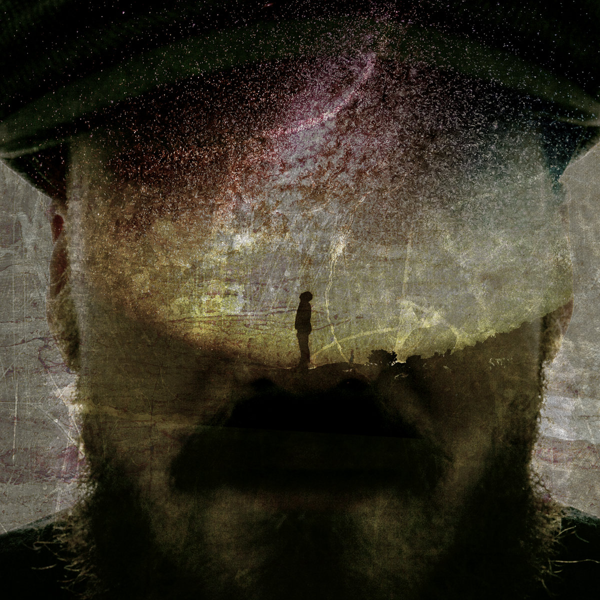 Fellows - Sesiones Delta